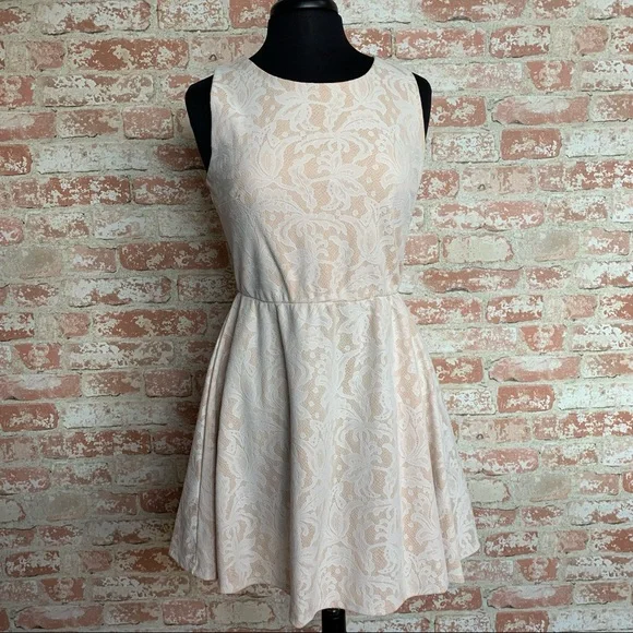 HEARTSOUL Cream Lace Dress Sleeveless Large Fit Flare Light Blush - Picture 2 of 10